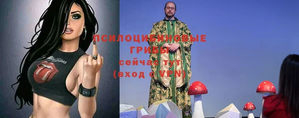 spice Алексин