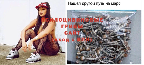 прущий лед Алексеевка