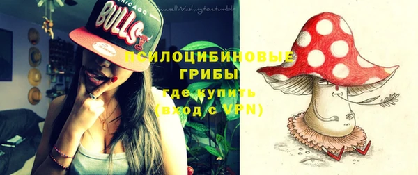 первитин Вуктыл