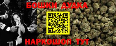 apvp Тулун
