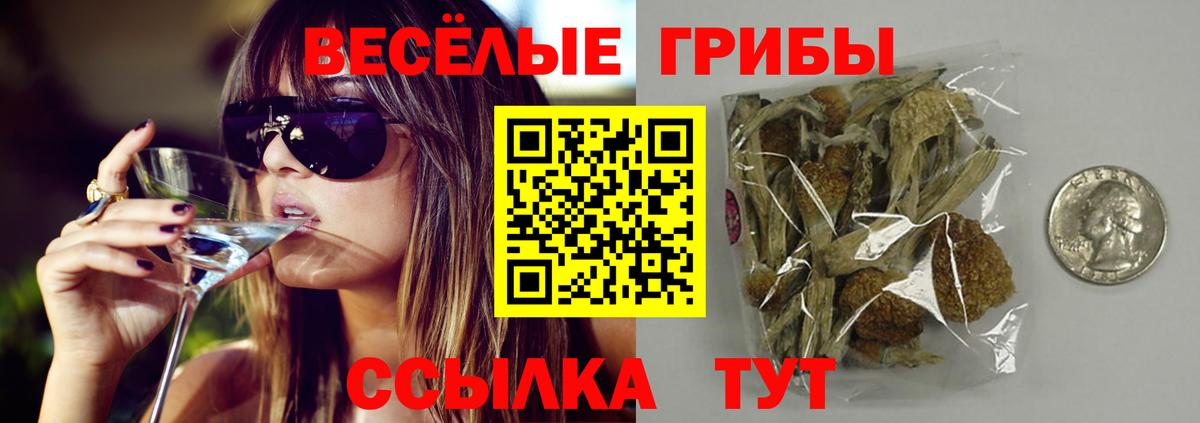 Саки  Псилоцибиновые грибы Psilocybe  Вход с VPN 